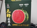 曉吸無籽麒麟瓜 4kg 曬單實拍圖