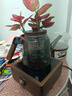 憶壺茶茶壺玻璃大容量加厚耐高溫帶過濾水壺煮茶器茶具 曬單實(shí)拍圖