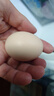 佳沛（zespri）新西蘭陽光金奇異果 8個裝 特大果單果重約122-146g 水果獼猴桃 曬單實拍圖
