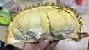 京鮮生 進(jìn)口金枕頭榴蓮 凈重4-5斤 1個裝  鮮果 生鮮 新鮮水果 曬單實拍圖