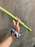 順豐甜桿小甘蔗新鮮水果甜蘆粟甜蘆稷農(nóng)家特產(chǎn)甜高梁桿東北老品種 順豐直達(dá)5斤裝 曬單實(shí)拍圖