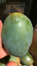 京鮮生 攀枝花凱特芒 凈重8.5斤 帶箱9斤 單果600g+ 生鮮水果 源頭直發(fā) 曬單實(shí)拍圖