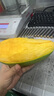 【熱銷(xiāo)】云南大青芒金煌芒 帶箱5斤【單果200g+】 曬單實(shí)拍圖