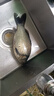 漁之源釣魚傘防雨垂釣加厚多向釣傘漁具傘戶外釣魚遮陽傘 1.8米 【單層輕便 加厚黑膠】UPF50+更防曬 曬單實拍圖
