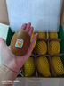 佳沛（zespri）新西蘭  陽光金奇異果巨大果22粒原箱 單果重約144-175g 獼猴桃 曬單實拍圖