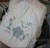 巴布豆（BOBDOG）奇跡奢寵嬰兒紙尿褲XL碼22片（12-17kg）【品牌直供 安心品質(zhì)】 曬單實(shí)拍圖