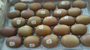 佳沛（zespri）新西蘭  陽光金奇異果25-27粒原箱特大果單果約122-146g  獼猴桃 曬單實(shí)拍圖