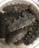 內(nèi)廷上用胖海參野I生海參干貨大號(hào)東來海參干貨批發(fā)非即食大連遼參純淡干 深海野生海參50g/純淡干海參  3-5厘米/個(gè)頭大小均勻30條 曬單實(shí)拍圖