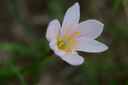 尼康/Nikon AF-S 105mm f/2.8G 單反防抖微距鏡頭 高清標(biāo)準(zhǔn) 二手單反鏡頭 AF 105/F2.8D MARCO 95新 曬單實(shí)拍圖