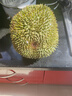 金尼堯紅肉榴蓮馬來(lái)西亞D101液氮冷凍水果精選4房 3.0-3.5斤【力薦果 保4房】 曬單實(shí)拍圖