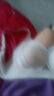 婷美超薄冰絲提拉大胸顯小聚攏內(nèi)衣女收副乳防下垂無鋼圈涼感文胸罩 曬單實(shí)拍圖