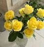 【玫瑰花】京東冷鏈特價(jià)云南鮮花云南基地直發(fā)水養花七夕節禮物 弗洛伊德玫瑰18+2枝防損耗 曬單實(shí)拍圖