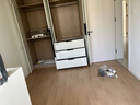 悍高（HIGOLD）衣柜掛衣桿櫥柜桿衣柜桿固定桿衣架晾衣桿 -高級灰/適用內(nèi)寬715~723mm/配法蘭座 曬單實(shí)拍圖