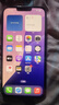 Apple iPhone 13 Pro Max 支持移動(dòng)聯(lián)通電信蘋果5G 二手手機(jī)  國(guó)行補(bǔ)貼 顏色內(nèi)存參考質(zhì)檢報(bào)告 內(nèi)存參考質(zhì)檢報(bào)告 曬單實(shí)拍圖