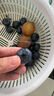 京鮮生 國(guó)產(chǎn)藍(lán)莓 4盒18mm+裝 125g/盒 生鮮水果 源頭直發(fā) 包郵 曬單實(shí)拍圖