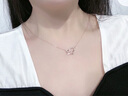 法蔻（farcoko）雙環(huán)莫比烏斯項鏈女鎖骨鏈奢侈首飾新款小眾高級感送女友生日禮物 雙心蝴蝶【全國倉/順豐空運】 曬單實(shí)拍圖