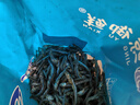 小魚干 公干魚海燕魚 自制風(fēng)干海鮮干貨 500g 曬單實(shí)拍圖