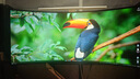 宏碁（acer）掠奪者X39 39英寸WOLED超2K 240Hz 0.01ms HDR400 Type-C 90W  800R曲面電競顯示器 X39 曬單實(shí)拍圖