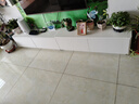 馨馨佳樂美【包安裝】電視柜落地簡約現(xiàn)代實木茶幾電視柜組合奶油風客廳地柜 2.4m長四抽電視柜【E0實木板材】 曬單實拍圖