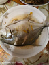 一蝦一世界 國產(chǎn)新鮮冷凍無冰衣白鯧魚/金鯧魚 清蒸香煎燒烤食材 新鮮捕撈 大號金鯧魚1.2kg【400g*3條】 曬單實(shí)拍圖