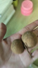 三萌果蔬石硤儲良龍眼【順豐冷鏈-多地隔日達(dá)】新鮮龍眼桂圓送禮 5斤石硤龍眼【超劃算】凈重4.5斤 【順豐速發(fā)】9A級丨老樹果【送禮力薦】 曬單實(shí)拍圖