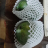 【新鮮上市】正宗攀枝花凱特芒果新鮮水果 帶箱2斤200g+ 曬單實(shí)拍圖