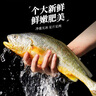 森農(nóng)樂舟山大黃魚禮盒深海黃花魚生鮮鮮活冷凍冰鮮水產(chǎn)海鮮年貨禮包商用 2條無禮盒【每條凈重1.4斤】 曬單實(shí)拍圖