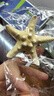 許愿瓶裝天然海螺貝殼海星組合海洋科普標本手工diy材料裝飾擺件 【加大海星】許愿瓶裝約400顆 曬單實拍圖