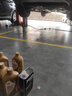 殼牌/Shell 全合成機(jī)油 汽車發(fā)動(dòng)機(jī)潤(rùn)滑油 新高效動(dòng)力版 0W-20 SN 1L 曬單實(shí)拍圖