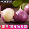 25年正宗云南紫皮獨頭蒜頭新蒜 云南原產(chǎn)地糖蒜臘八蒜時(shí)令蔬菜 3斤3.5-4cm特大果(凈重2.7斤) 曬單實(shí)拍圖