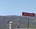 紅蜻蜓2025夏季新款西裝褲女寬松垂感休閑褲薄款肌理感直筒闊腿褲長褲子 黑色 長褲 M 曬單實(shí)拍圖