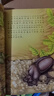 法布爾昆蟲(chóng)記三年級的課外書(shū)全套10冊注音版拼音美繪正版原著(zhù)完整版人教版一年級二年級四年級小學(xué)生課外閱讀書(shū)籍兒童科普繪本 【1-3年級閱讀10冊】法布爾昆蟲(chóng)記 曬單實(shí)拍圖