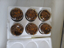 天地草原內(nèi)蒙古草原白蘑菇醬特產(chǎn)下飯菜拌飯拌面醬下飯醬即食蘑菇醬 香辣白蘑醬6瓶 曬單實(shí)拍圖