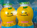 金豆芽?jī)和疸y花柚子汁155ml*16瓶禮盒夏天孩子飲料寶寶零食果汁西柚汁 曬單實(shí)拍圖