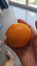 新奇士（Sunkist）澳大利亞進(jìn)口藍(lán)標(biāo)早臍橙4斤禮盒 單果180g起 新鮮水果 曬單實(shí)拍圖