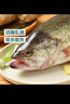 鮮活沖浪河鱸魚400-500g/條 曬單實(shí)拍圖