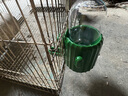 寵易生鸚鵡喂水器鳥用喂食器撞針大容量玄鳳虎皮牡丹下水用品水壺大號 曬單實拍圖