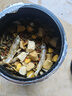 龜真壽 十合一龜糧300g 烏龜飼料巴西龜蝦蟲魚干凍干十拼草龜海鮮糧 曬單實拍圖