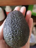 墨西哥牛油果秘魯巨無(wú)霸【進(jìn)口】新鮮大果鱷梨孕婦寶寶健康輕食 大果8粒裝【單果130-160g】 曬單實(shí)拍圖