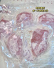 小黃象無抗奧爾良香煎雞排500g雞胸肉高蛋白輕食雞肉 曬單實(shí)拍圖