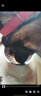 寶路狗糧成犬大型犬狗糧牛肉味15kg均衡營養(yǎng)全價糧30斤【原料透明】 曬單實拍圖