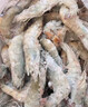 賣魚郎先生青島鹽凍大蝦凈重3.6斤 10-15只/斤 白蝦大蝦基圍蝦生鮮 蝦類 曬單實(shí)拍圖