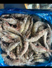 Member's Mark 泰國(guó)進(jìn)口 生冷凍黑虎蝦 2kg (約31-40只/每千克) 2kg(凈重) 曬單實(shí)拍圖