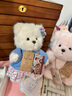 莉娜熊（TeddyTales）故事款小熊玩偶毛絨玩具熊泰迪手作熊娃娃送禮送人女生生日禮物 勿忘我Nezabudka 布丁色小號(hào)20cm 禮盒裝 曬單實(shí)拍圖