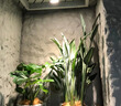 全光譜吸頂明裝調(diào)焦植物補(bǔ)光生長燈綠植家用盆栽防太陽聚光生長燈 黑色10W【4000K中性光】 曬單實(shí)拍圖