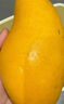金煌芒新鮮水果 金煌芒果應當季生鮮 帶箱1斤 中大果【單果140g+】 曬單實拍圖
