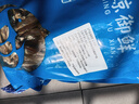 小魚干 公干魚海燕魚 自制風(fēng)干海鮮干貨 500g 曬單實拍圖