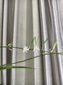 艾芭莎（Aibaasaa）【熱銷(xiāo)N0.1：APP連接】暖宮腰帶大姨媽神器暖宮帶緩解痛經(jīng)暖寶寶按摩儀送生日七夕情人節禮物女生 M28暖宮腰帶 凱蒂貓 禮盒版 曬單實(shí)拍圖