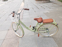 飛鴿（FLYING PIGEON）自行車成人通勤車自行車學(xué)生單車成人自行車通勤自行車女士自行車 標(biāo)配青青黃|單速|(zhì)輻條輪+禮包 26寸適合160-185cm 曬單實拍圖