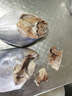 森農(nóng)樂舟山銀鯧魚生鮮特大白鯧魚鮮活野生新鮮冷凍海鮮昌扁魚平魚海魚 150-200g/條【當(dāng)季野生 4條裝】 曬單實(shí)拍圖